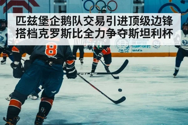 匹兹堡企鹅队交易引进顶级边锋搭档克罗斯比全力争夺斯坦利杯